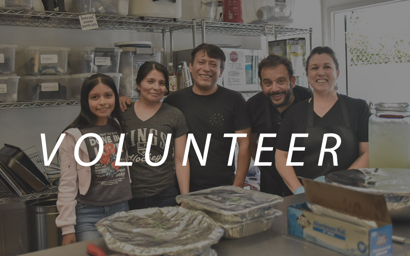volunteerweb